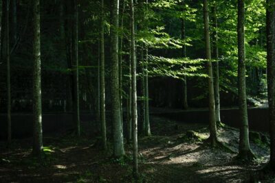 Eagle's Nest-Berchtesgaden-Obersalzberg Private Half Day WWII Historical Tour - Private transport in Berchtesgaden: less waiting, more seeing