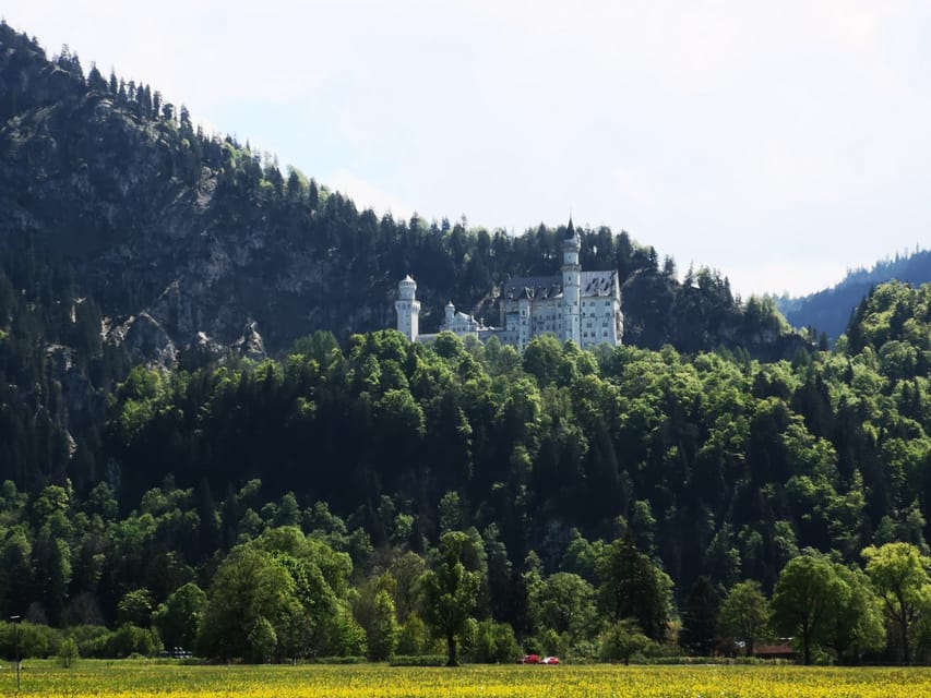 Munich: Neuschwanstein Castle by Bus with Alpine Bike Ride - Optional Hohenschwangau Castle: When It’s Worth It (and When It Isn’t)
