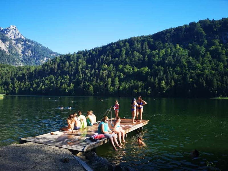Munich: Neuschwanstein Castle by Bus with Alpine Bike Ride - Price and Extras You’ll Budget For (The Real Value Check)
