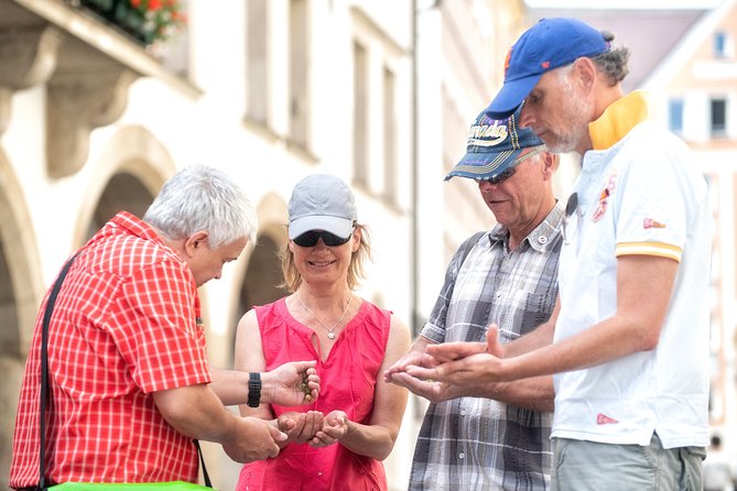 Munich Old Town Walking Tour - Pace and group size: how to get the most from the 2 hours