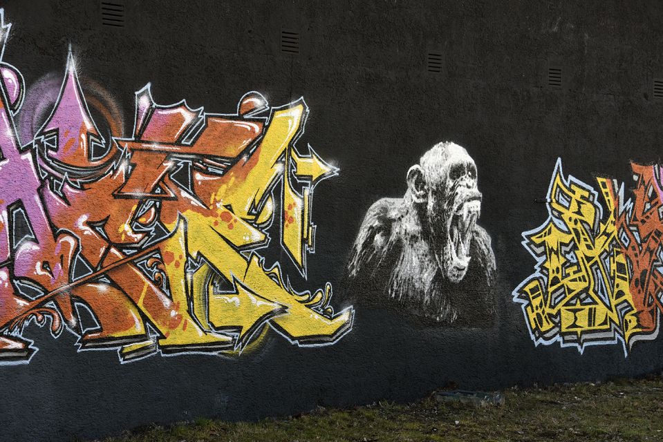 Munich: Street Art Bike Tour - Price and value: what $40 gets you in Munich
