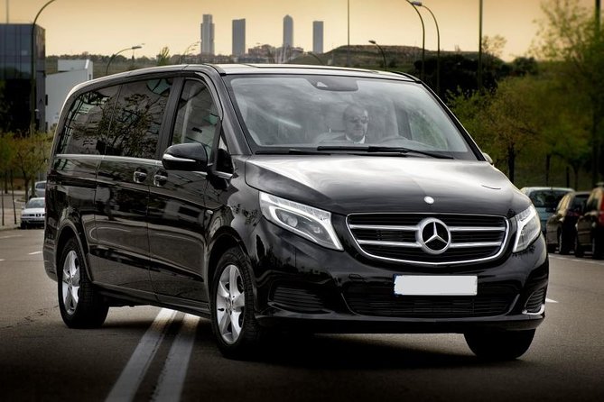 Private Transfer from Munich Airport to Munich City by Luxury Van - Timing and your flight: make the meeting work with your schedule