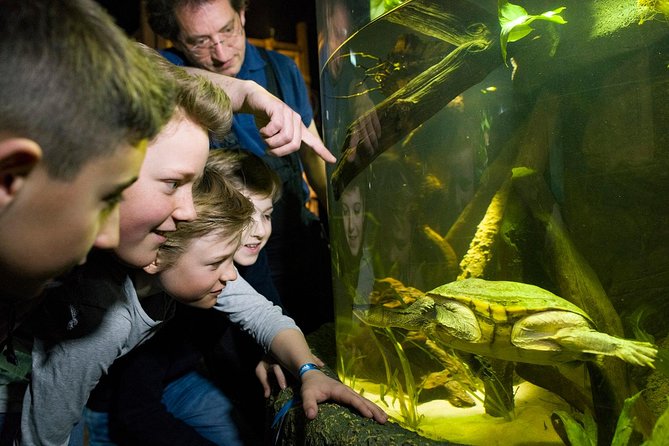 SEA LIFE Munich Admission Ticket - Your route through the aquarium: where the best moments tend to land