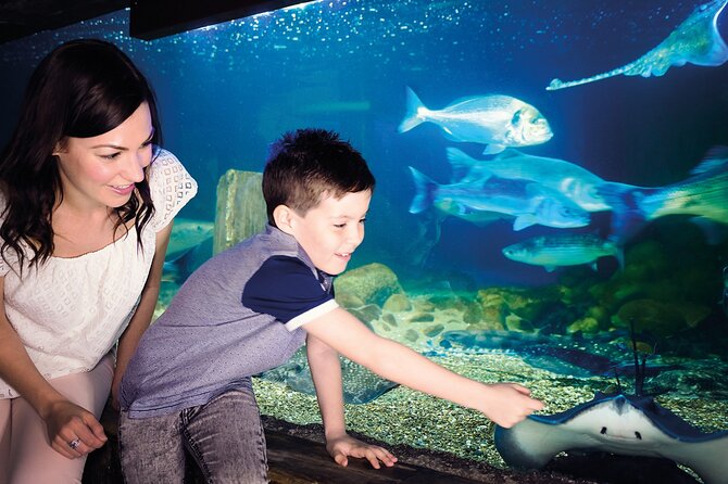SEA LIFE Munich Admission Ticket - Comfort and crowd reality: timing matters more than you think