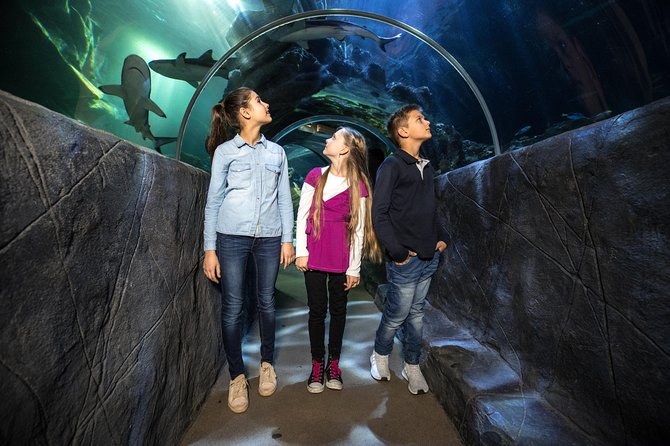 SEA LIFE Munich Admission Ticket - Timing, duration, and what to expect if you’re short on time