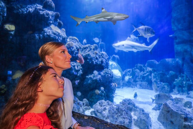 SEA LIFE Munich Admission Ticket - What you really get inside: 33 aquariums and a lot of tank variety