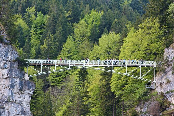 Skip The Line Neuschwanstein Castle Tour from Hohenschwangau - The horse carriage return: why it works as an ending